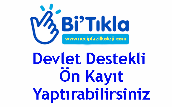 Devlet Destekli Okul